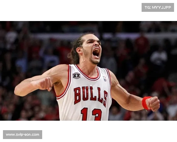 回顾诺阿2014年最佳防守球员赛季 他如何凭激情演绎防守艺术 回顾诺阿2014年最佳防守球员赛季 他如何凭激情演绎防守艺术